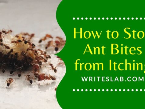 How to Stop Ant Bites from Itching